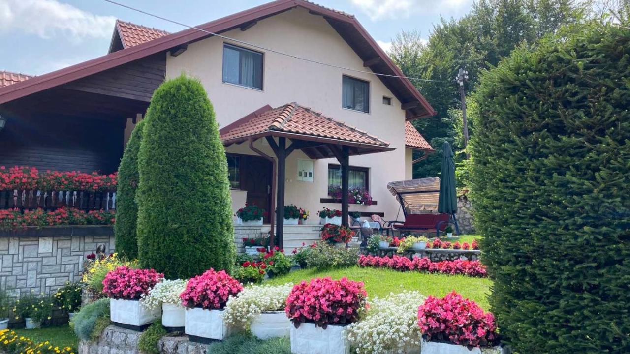 Apartment Vihor Zlatibor Dış mekan fotoğraf