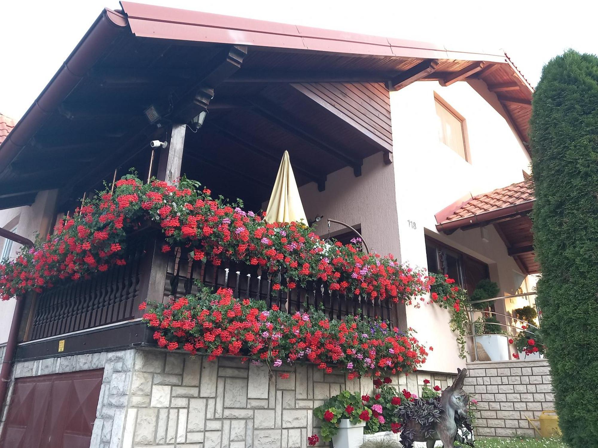 Apartment Vihor Zlatibor Dış mekan fotoğraf