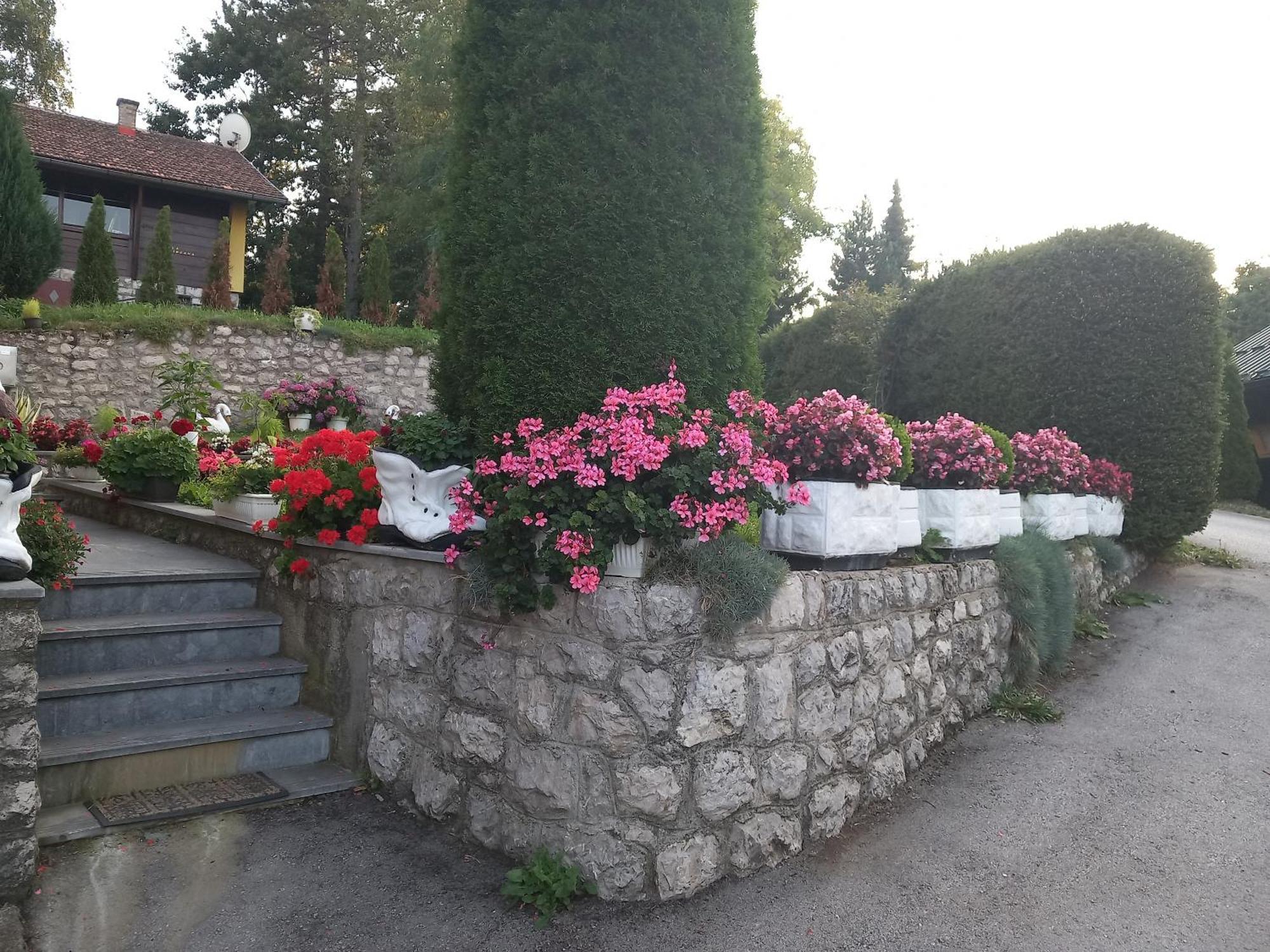 Apartment Vihor Zlatibor Dış mekan fotoğraf