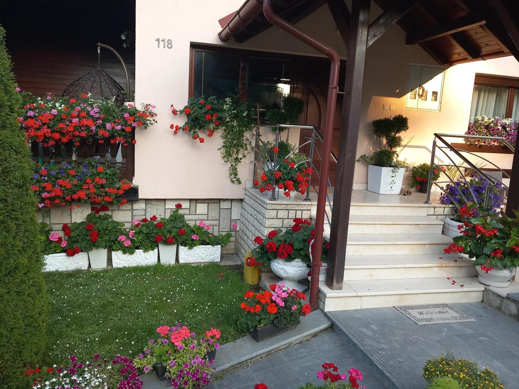 Apartment Vihor Zlatibor Dış mekan fotoğraf