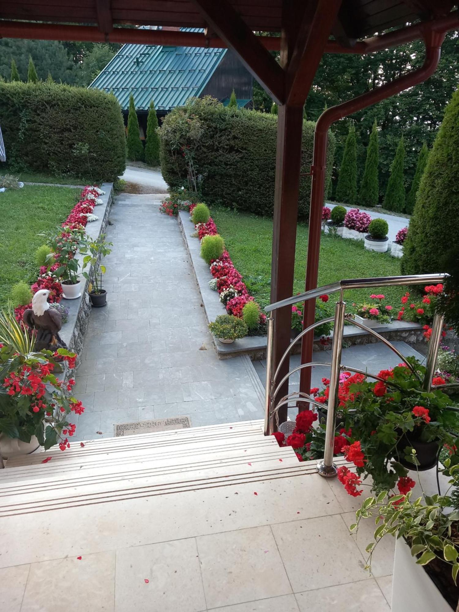 Apartment Vihor Zlatibor Dış mekan fotoğraf